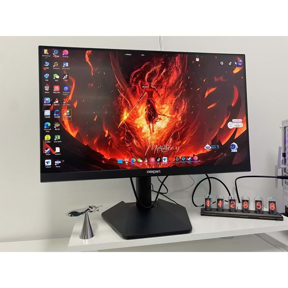 OEXPERT 24