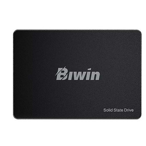 Biwin M100 256GB 2.5